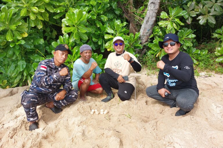 Tim biofisik mendata populasi penyu di Pulau Jemur. Foto: DKP Riau
