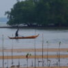 Seorang nelayan menepi dengan pemandangan pohon mangrove di Pasir Merah Sembulang, Kota Batam, Provinsi Kepri. Foto: Yogi Eka Sahputra/ Mongabay Indonesia