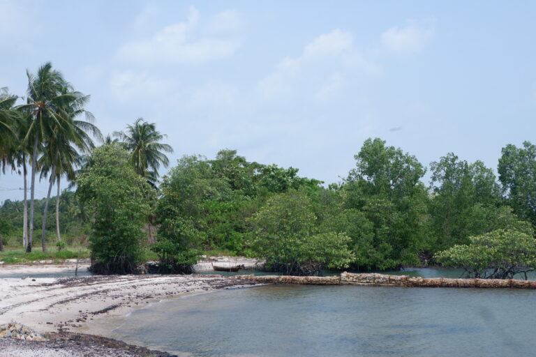 Suasana pesisir Pasir Panjang, Pulau Rempang yang indah. Foto: Yogi Eka Sahputra/ Mongabay Indonesia