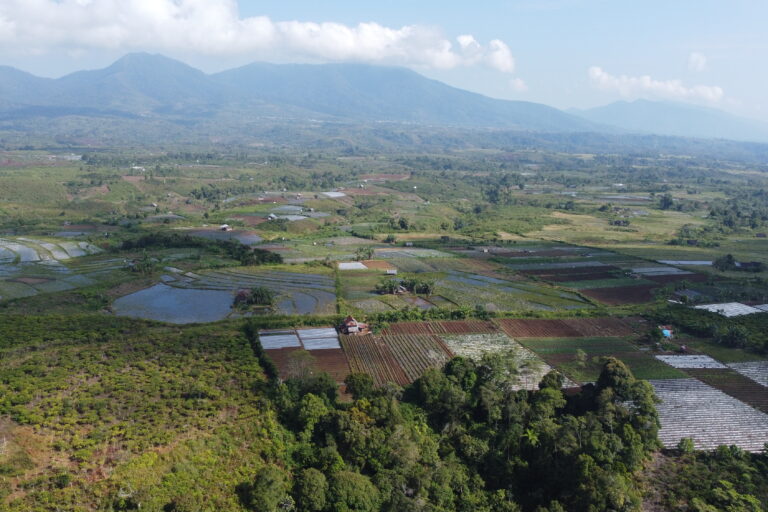 Desa Damnau Gerak di Kecamatan Semende Darat Ulu, Muara Enim, Sumatera Selatan. Foto: dokumen Humaidy Kenedi