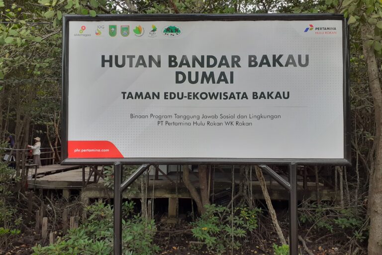 Bandar Bakau Dumai, pusat rehabilitasi mangrove yang kini jadi ikon dan pusat wisata di salah satu pesisir Riau. Foto: Suryadi/ Mongabay Indonesia 