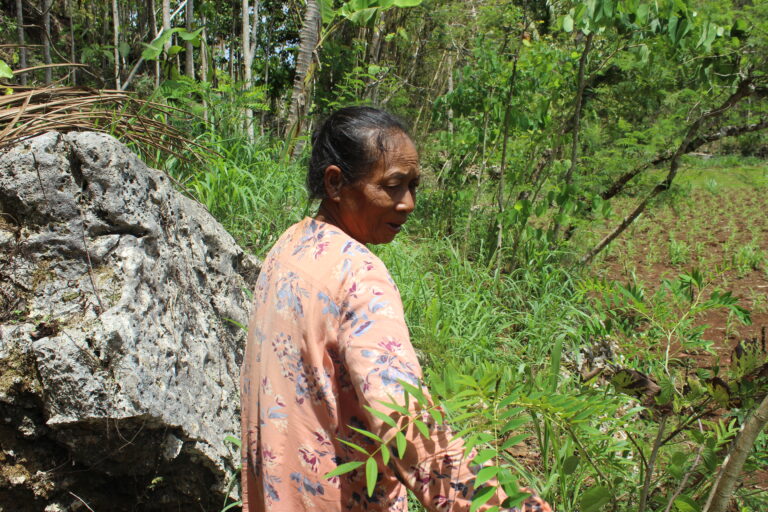 Wasinem menunjukan indigofera yang ia tanam. Foto: Michelle Gabriela/Mongabay Indonesia