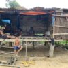 Keluarga Dahwas di tinggal di pondok yang dibangun di tanah Cik Aman yang kini menjadi perkebunan karet PT. ALN. Foto: Teguh Suprayitno/Mongabay Indonesia