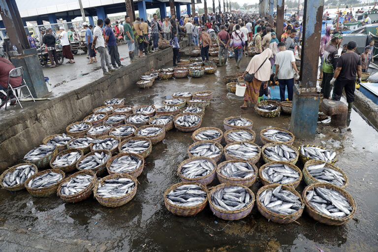 Mengapa Penggunaan Bahan Peledak untuk Menangkap Ikan Dilarang?