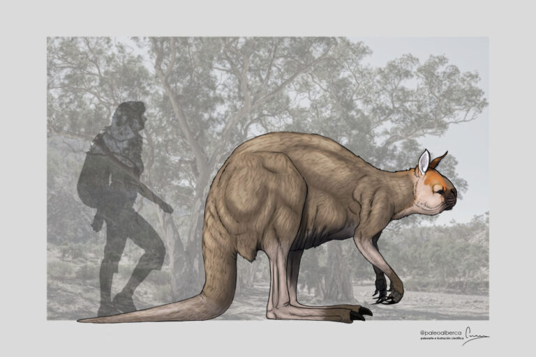 Kanguru Raksasa dan Kepunahan Megafauna Australia