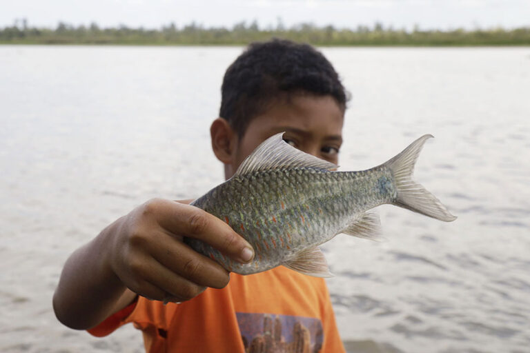 Cerita Masyarakat Teluk Rumbia: Ikan dan Udang Menjauh dari Sungai Alas-Singkil