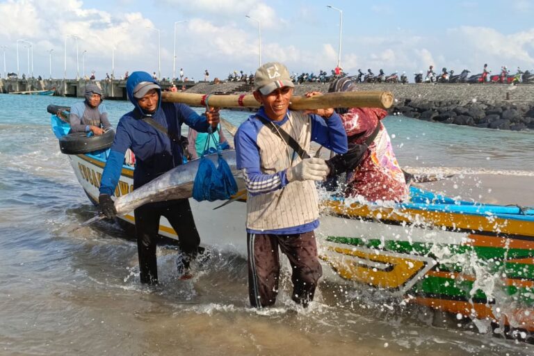 Mengurai Benang Kusut Perikanan Tuna di Morotai 